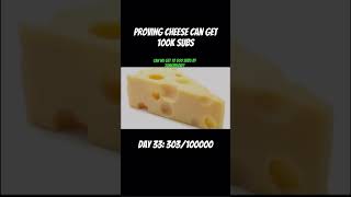 Proving cheese can get 100k subs day 33 cheese [upl. by Gabrielle917]