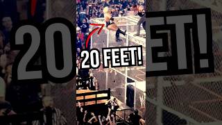 Why Did The Undertaker Throw Rikishi Off The Cell wwe [upl. by Perr]