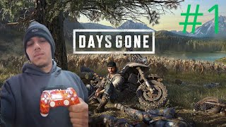 Bora pra Live de Days Gone [upl. by Esinaej]