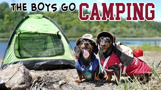 Ep 5 The Dogs Go Camping  Cute Dachshunds Camping Trip [upl. by Anrim]