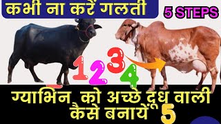 अच्छे दूध वाली गाय भैंस कैसे तैयार करें 👌🏻 ग्याभिन के 5 Steps 🤣 pregnant cow care in hindi [upl. by Stout114]