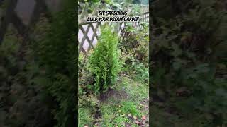 DIY Gardening planting cypresses nature diy diygarden gardening planting [upl. by Inalaeham]