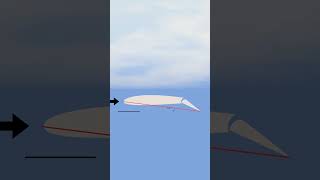 How Flight Controls Work on an Airfoil aeroplane aerodynamics airplane [upl. by Sprague]