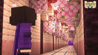 Minecraft Cherry Blossom Nether Highway [upl. by Cam]