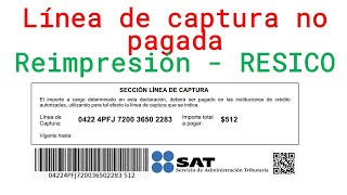 Como Reimprimir Línea Captura Vencida RESICO 2024  Régimen Simplificado de Confianza [upl. by Aneet]