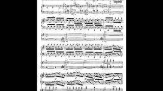 Concerto 3 in C minor Beethoven 33 [upl. by Anaejer]