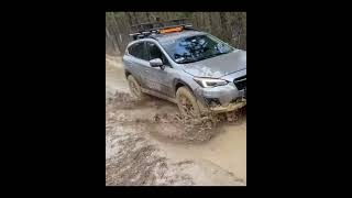 subaru in the mud awd awesome mudslinging cars [upl. by Harim347]