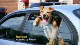 TV Spot  Pedigree  Dog Food  Morgan  See What Good Food Can Do [upl. by Llehcear773]