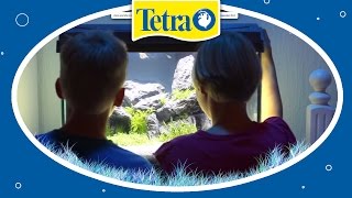 Perfekte Beleuchtung fürs Aquarium TETRA AquaArt [upl. by Allys]