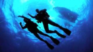 Beautiful Scuba Diving in Setúbal Portugal [upl. by Ila]