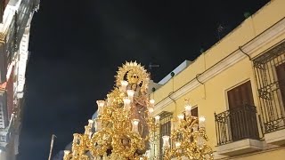 Petalada al Rosario de la Macarena por la Calle Parras 2024 [upl. by Iphagenia312]