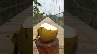 Very perfect coconut peeling skills coconut cuttingskills [upl. by Annadal289]