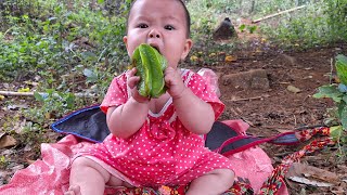 17 years old harvest star fruit to sell buy vegetables to grow [upl. by Nirek]