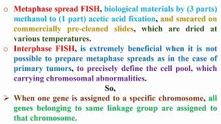 Definition of Metaphase and Interphase FISH Technique [upl. by Polish]