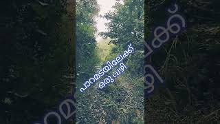 Trucking to paramada birds birdsong nature animals wildlife likeforlikes subscribe support [upl. by Drucy986]