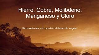 11 Hierro Cobre Molibdeno Manganeso y Cloro [upl. by Eilsew]