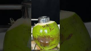 Coconut Happiness coconut coconutwater fresh asmr asmrsounds asmrvideo satisfying [upl. by Delcina446]