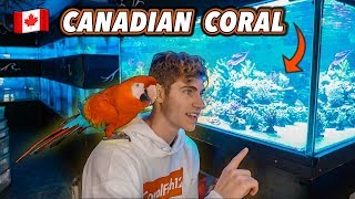 EPIC AQUARIUM ADVENTURE – East Coast Tour Episode 1 [upl. by Enwad]