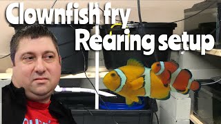 Clownfish Fry Rearing Setup [upl. by Calisa15]