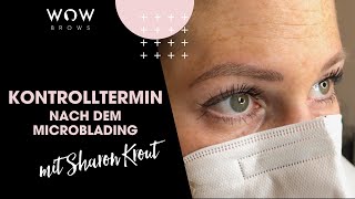 Kontrolltermin nach dem Microblading [upl. by Ahsiemac]