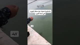 fاكسبلور fishing funny food صيد سمك [upl. by Eleumas]