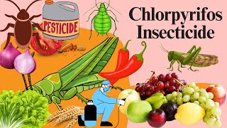 Chlorpyrifos Chemistry Mode of Action Formulation Uses and Dosage [upl. by Adonis117]