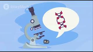 Agarose Gel Electrophoresis A StepbyStep Guide electrophoresis agarosegel EtBr xylenecyanol [upl. by Shantha]