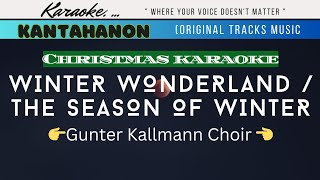 Winter Wonderland  The Season Of Winter karaoke lyrics [upl. by Ravahs]