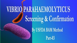 Vibrio parahaemolyticus Part 3 Screening amp Confirmation by FDA BAM [upl. by Alicul359]