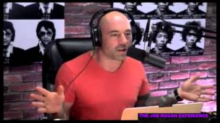 quotGold Diggers amp Wounded Gazellesquot with Greg Fitzsimmons from Joe Rogan Experience 466 [upl. by Yancy]