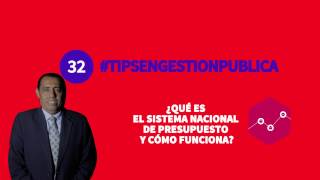 ¿Qué es el Sistema Nacional de Presupuesto Público [upl. by Chap428]