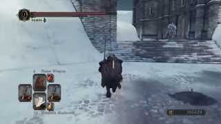 How to Access the Frigid Outskirts  Dark Souls II Crown of the Ivory King DLC [upl. by Hentrich271]