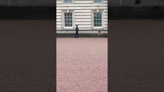 Guardia real Palacio de buckingham Londresbuckinghampalace [upl. by Aikin]