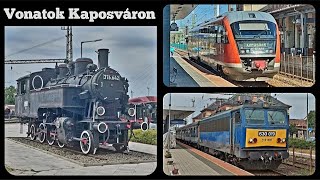 Vonatok Kaposváron [upl. by Lamek662]