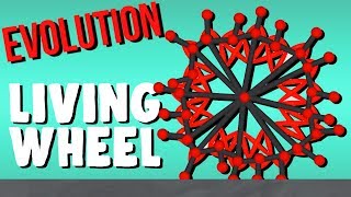 Evolving the Living Wheel  Evolution Simulator [upl. by Kcorb]