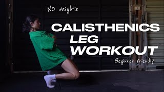 CALISTHENICS LEG WORKOUT  NO WEIGHTS beginner friendly [upl. by Aiela]