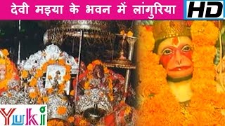 देवी मइया के भवन में लांगुरिया  Devi Maiya Ke Bhawan Me Languria  Navratri Geet  Lakkha Singh [upl. by Aicitan782]