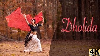 Dholida Dance  LOVEYATRI [upl. by Langille]