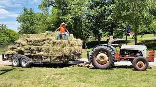 Milking Routine  Hay Season 2023 [upl. by Etnauj]