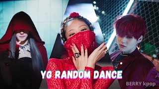 YG RANDOM DANCE KPOP BERRY kpop [upl. by Atinaw185]