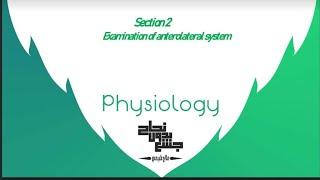 Examination of anterolateral system physiology 3 section 2 [upl. by Sutherland]