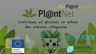 PlantNet pour les nuls [upl. by Andel50]