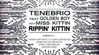 Tenebrio Feat Golden Boy With Miss Kittin  Rippin Kittin Original Mix [upl. by Renate300]