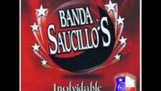 Hazme olvidarla  Banda Saucillos [upl. by Panayiotis504]