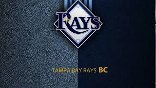 Tampa Bay Rays 2020 Postseason Home Run Horn NO SONG [upl. by Jovitta198]