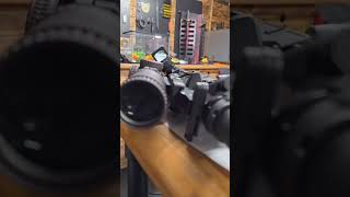 Testing the Defender CCW Dot on an AR [upl. by Rocray]