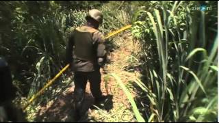 Massive explosion and impact crater in Nicaragua  Incoming meteor strike [upl. by Blane138]