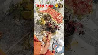 Tulsi pujaka mahatv kya hai jane tulsi motivation tulsipujainkartik tulsikrit santosha geetab [upl. by Janeta]