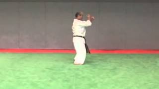 11 Chinto Wado Ryu [upl. by Mcleroy]