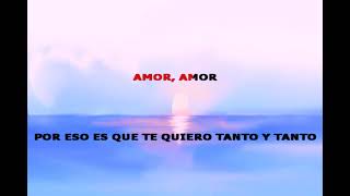 Milena  Amor amor  Karaoke [upl. by Swor239]